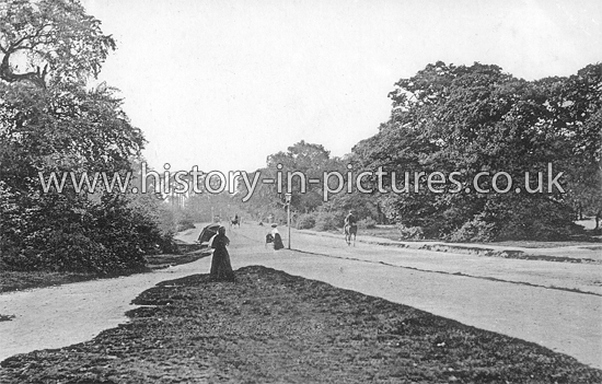 Whipps Cross Road, Leytonstone. c.1905